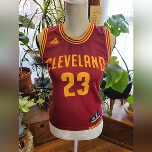 LeBron James Cleveland Jersey